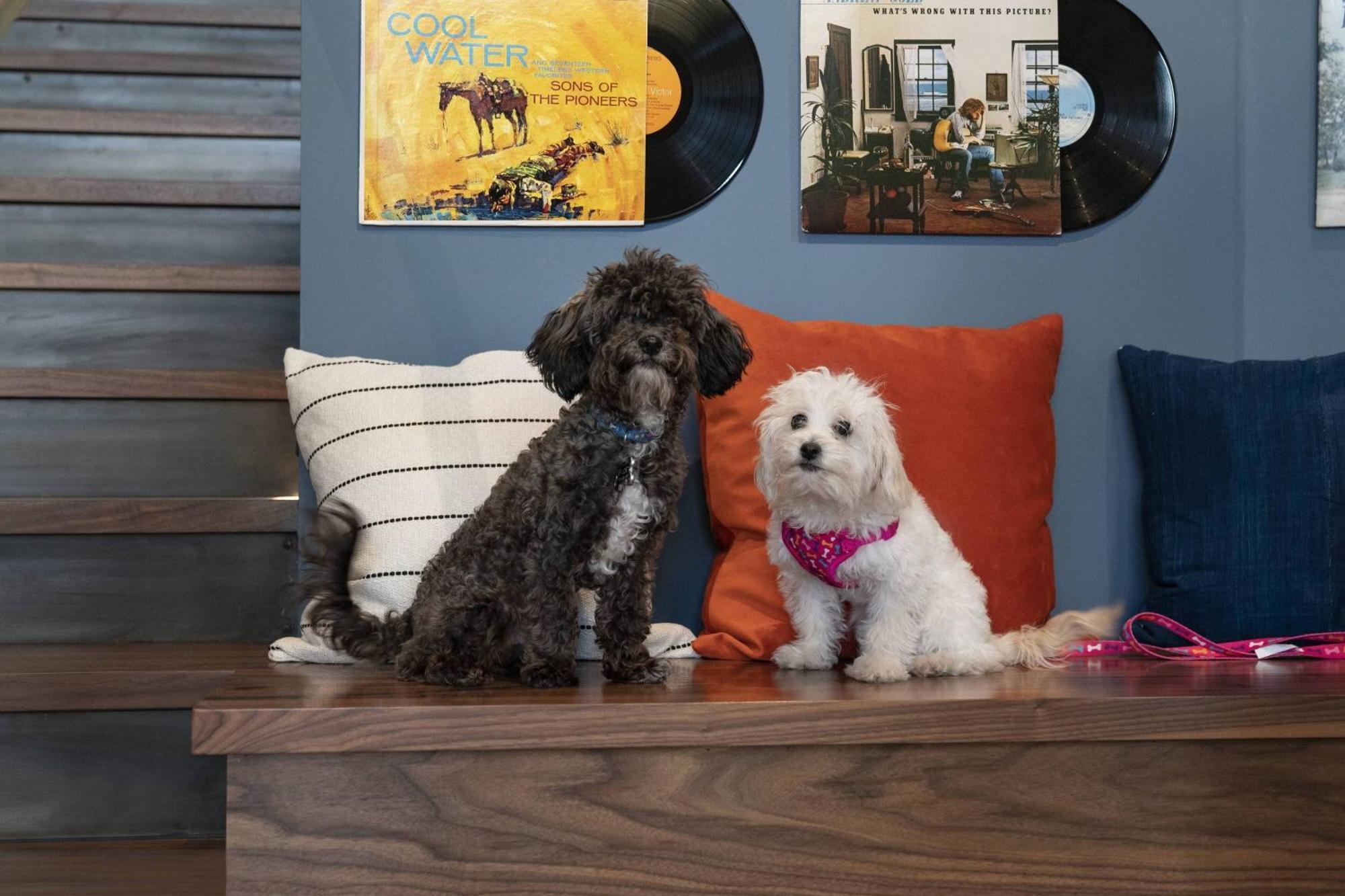 Moxy Vanderbilt Area 4* Nashville